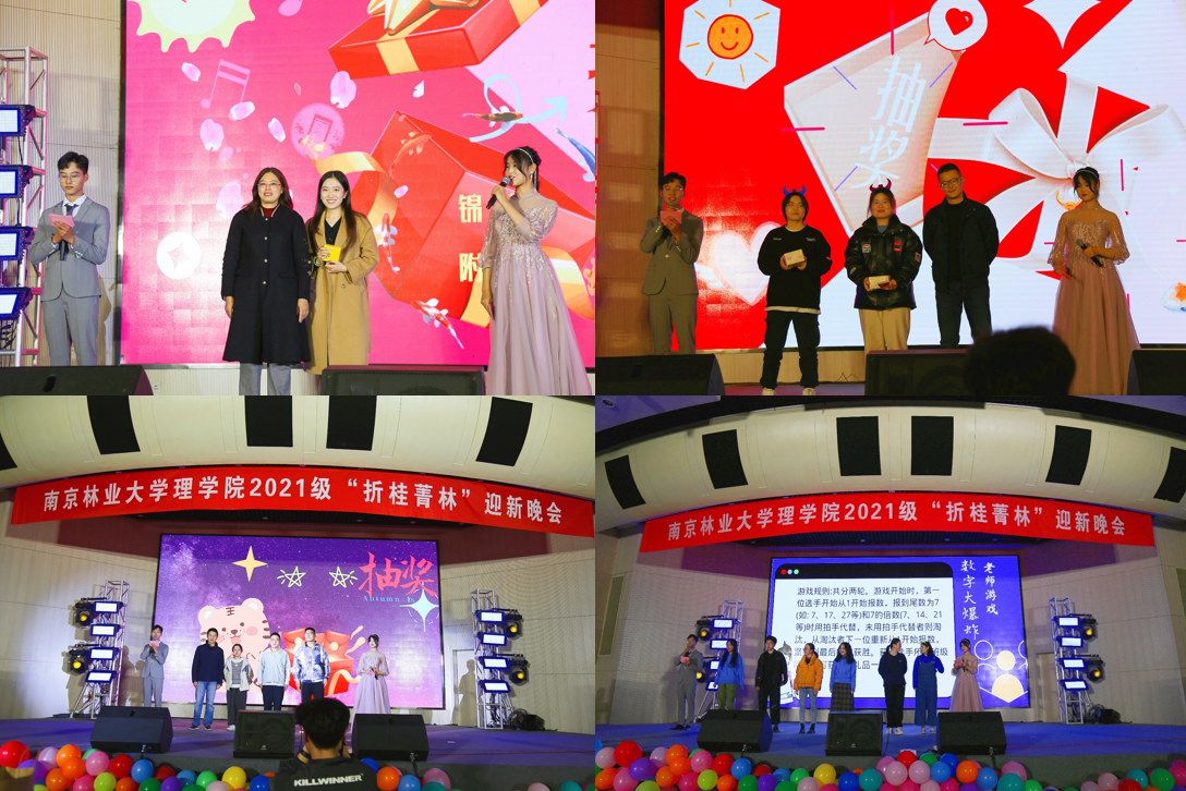 晚会图片